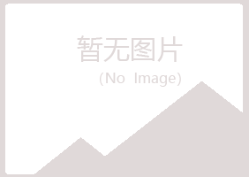 营山县涟漪会计有限公司